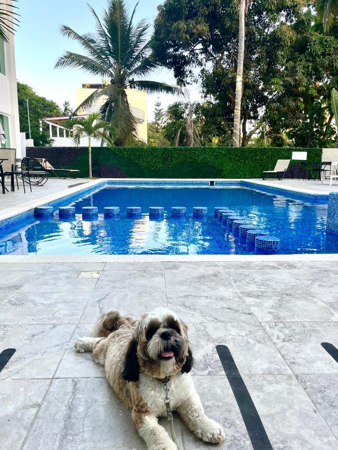 Apartamento Gran Palma Residencial *